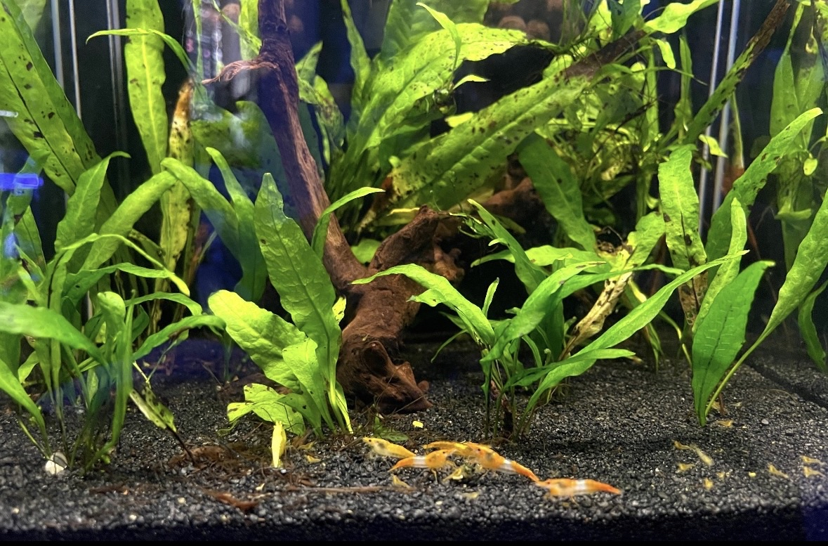 After cleaning