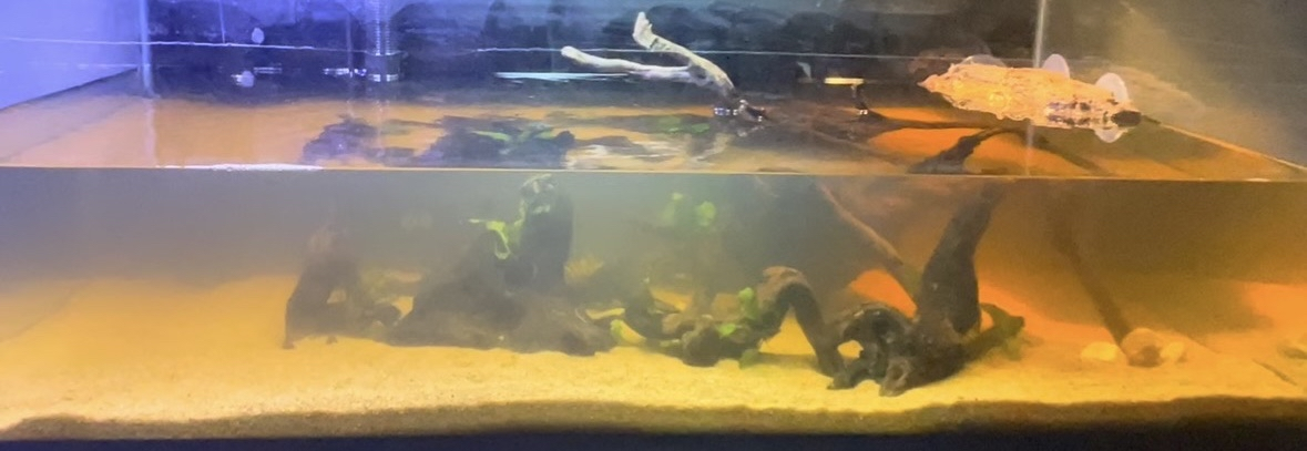 Before cleaning